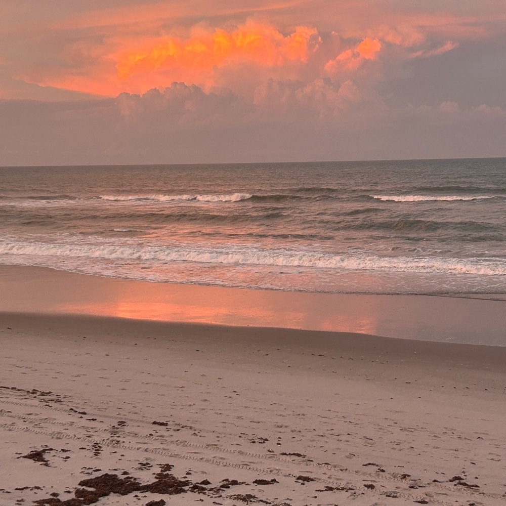 Meet your Posher, Mimi